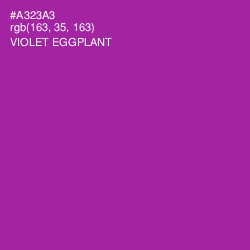 #A323A3 - Violet Eggplant Color Image